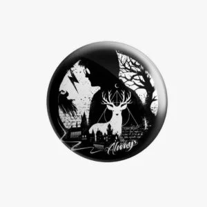 The Boy Harry Potter Badge