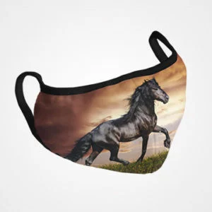 Horse Abstract Masks Face Mask