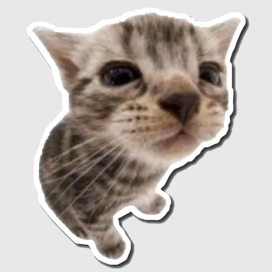 Crying Kitten Close Up Sticker