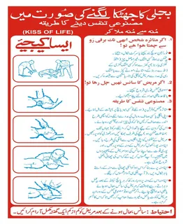 Electric Shock First Aid Instructions Poster Urdu Sign